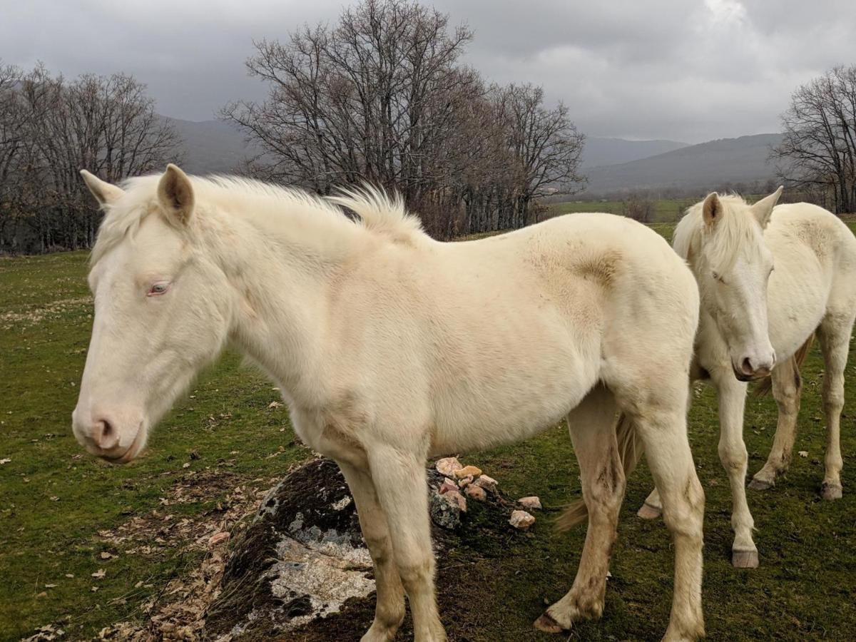 מונטחו דה לה סיירה Casa Rural Fuente Del Arca Montejo מראה חיצוני תמונה